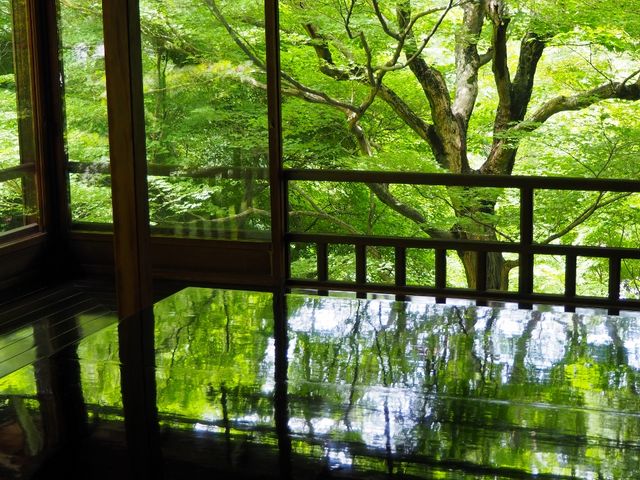 ���ԂɎB�e�����Ă��炦�܂��B_�ڗ����@