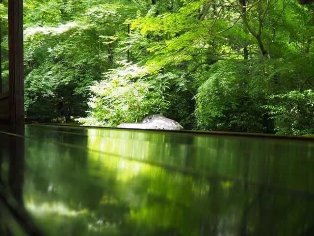 �P�K�ŎB�e���܂����B�L�����s�J�s�J�ł��B_�ڗ����@