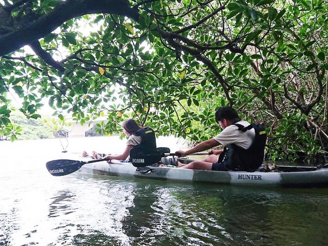 いただいた写真の1枚です。_OHCUS石垣島