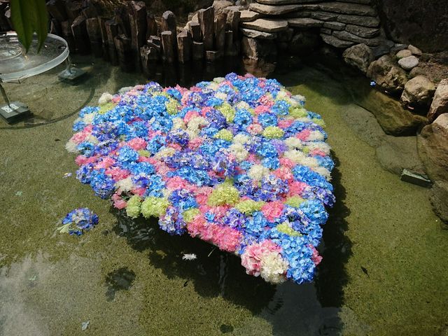 雨引観音境内の池に紫陽花で作ったハートが浮かべてあった。_雨引山楽法寺（雨引観音）