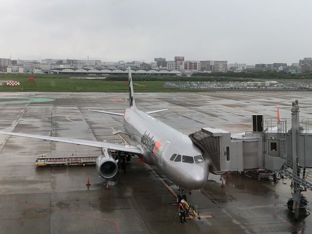 ���@��󂢂Ă܂�_������`