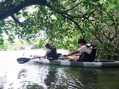 肩OHCUSΊ_ւ̓eʐ^1