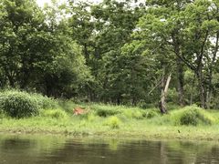 s[R̃Jk[VbvqCւ̓eʐ^1