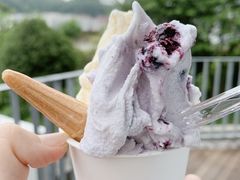 肿񂳂̓̉w qRւ̓eʐ^1