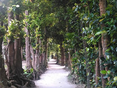 uC̔̃tNM؂ւ̓eʐ^1