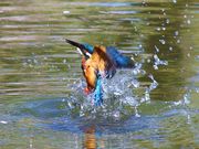 kuni񂳂̈mXь̓eʐ^1