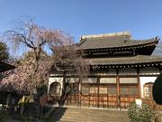 傤܂̑nՕM˂̓eʐ^1