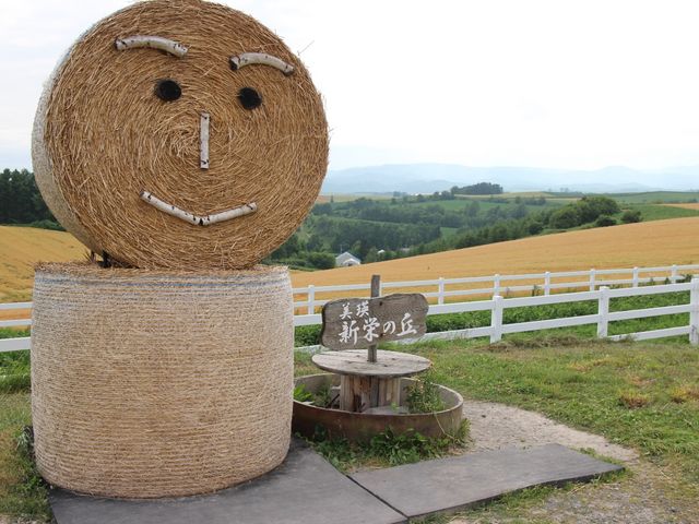 �q�����[���̃}�X�R�b�g_�V�h�̋u�W�]����