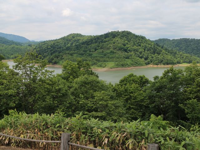 �l����_�z���s����
