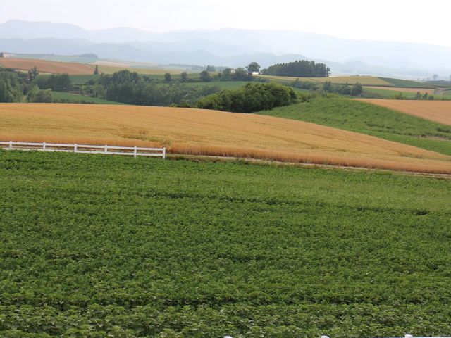 �p�m���}���[�h_�p�m���}���[�h