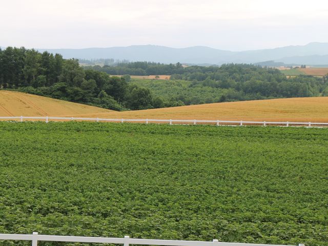 �V�h�̋u�̎���_�p�m���}���[�h