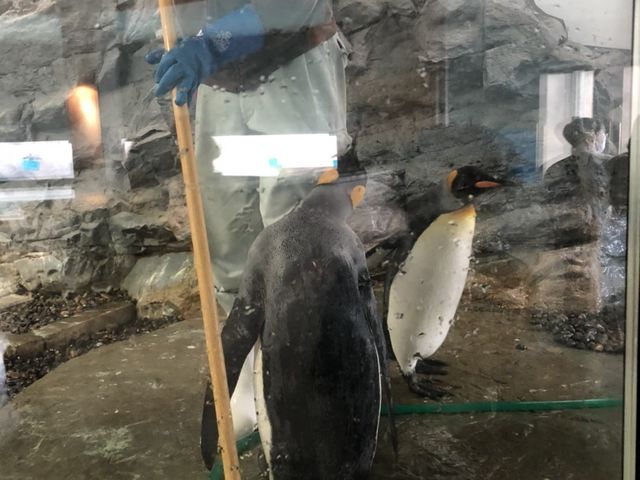 ���������̑��ɕ������y���M��_���R������