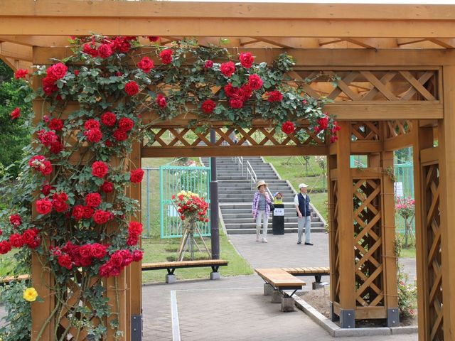 ����_���[�Y�K�[�f�������Ղׂ�