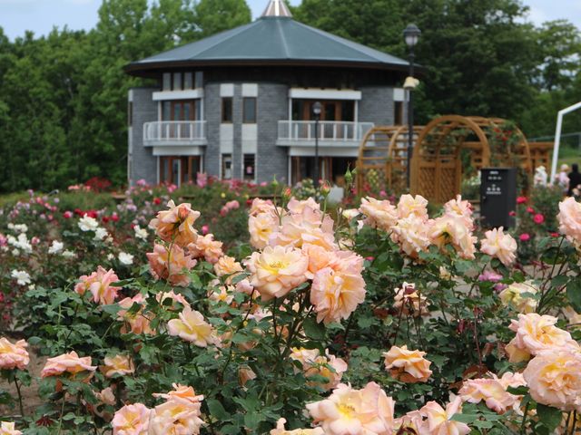 �����̉�_���[�Y�K�[�f�������Ղׂ�