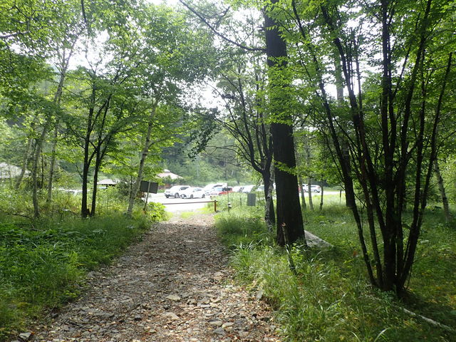 }Cann̖іؕibMxoRj̓eʐ^1