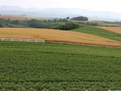 񂳂̃pm}[hւ̓eʐ^1