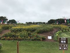 񂾂_Ɖ|Z^[@݂ǂ̓m̎ʐ^2