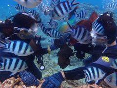 kyoou7����̃}�����N���u�i�M�ւ̓��e�ʐ^1