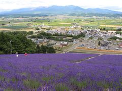 񂳂̖kR@x_[ւ̓eʐ^1