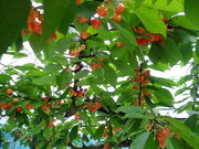 o[jÔ낱є_ʂ̓eʐ^1