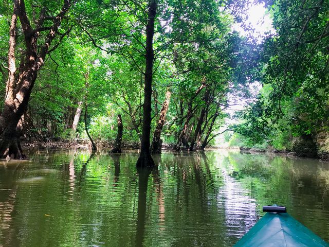 写真を撮る時間もとっていただけたのでカヌーに乗りながらたくさん撮れました_OHCUS石垣島