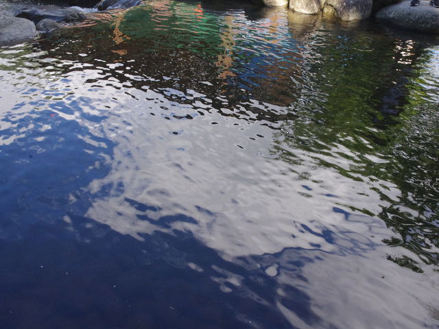 �����ɋ�������_����t�B�b�V���O�p�[�N