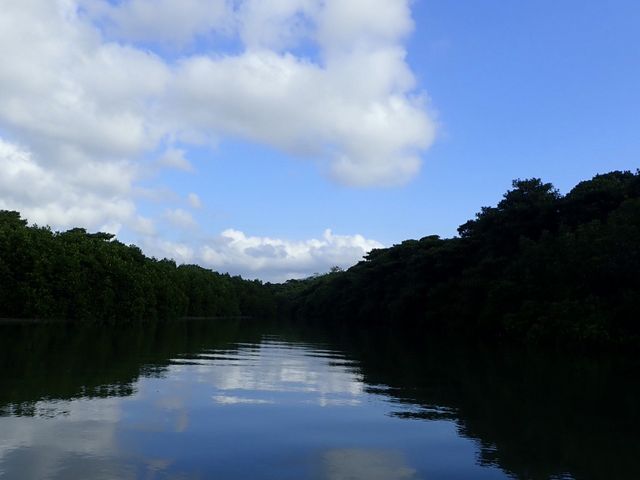 無風の川面_OHCUS石垣島