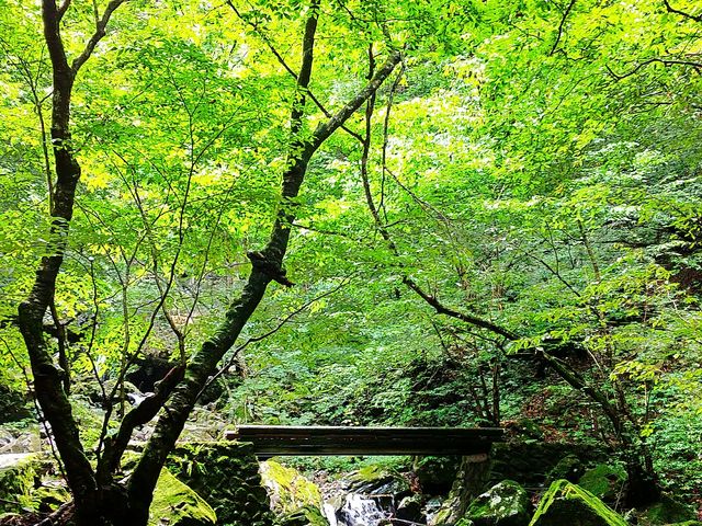 �X�̐��삪���ꂻ���ȁA���R���̂܂܂̌i�F���������������B_�����̑�