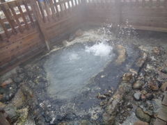 �o�ʉ���̎ʐ^2