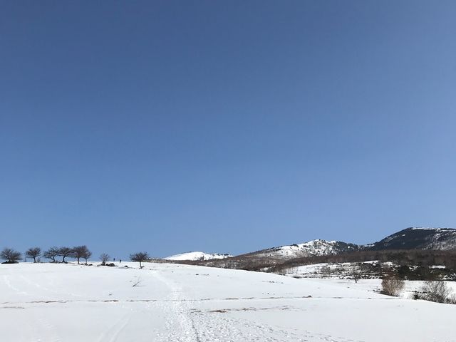 2020�N3��21���B�e�B�~�G�͖q���˂��؂郋�[�g�ŁA�����Ȃ茩����B_�l���R