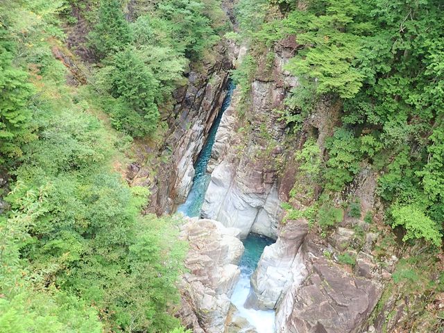 �G�������h�O���[���̐�A�@��ꂽ���H�̂悤�Ȋ������Y��ł��B_��Y�k�J