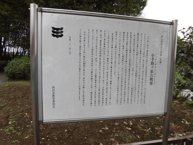 �n���������̏���w�P���Ð��̓��e�ʐ^2