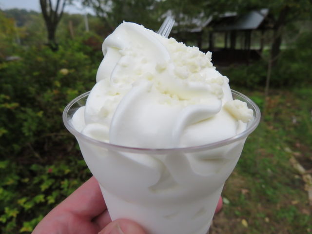 yosshỹ`[YH[@fbɂ̓eʐ^5