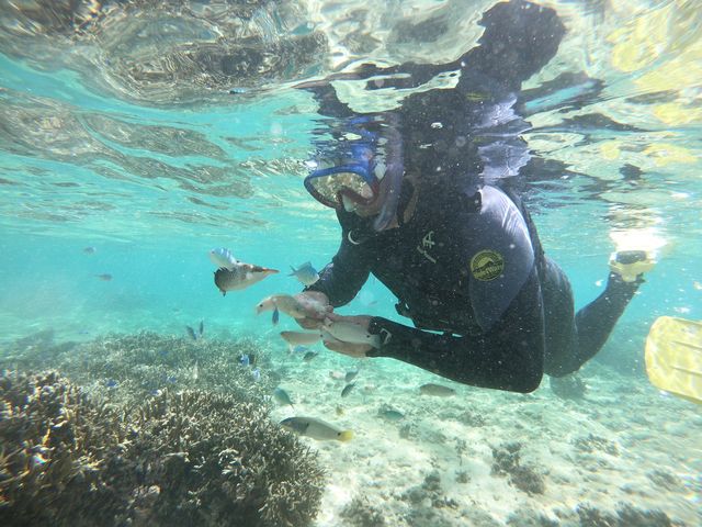 �����Ő̓��A�ɂ͍s���܂���ł������A���͂������񌩂�܂����B_�̓��A��