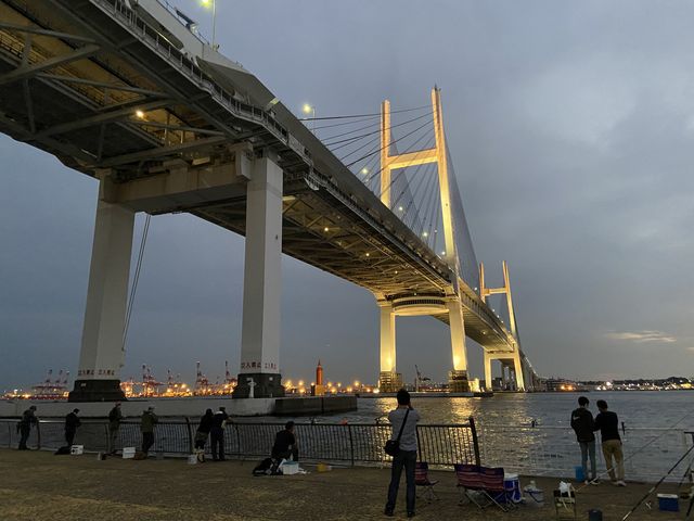 �ނ�ɗ��Ă���l�������ς����܂����B���i�̈ꕔ�ł��ˁB_���l�x�C�u���b�W