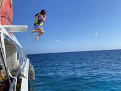 ̂[̌cǊ(P})C攼cA[X@OPGւ̓eʐ^1