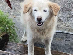 ₩̉nGRc[lbgւ̓eʐ^1