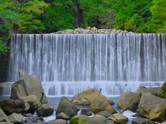 ������������̋{�m������ւ̓��e�ʐ^1