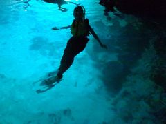 mhnguyenNature Guide Double Rainbow lC`[KCh@_uC{[ւ̓eʐ^5