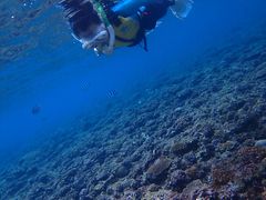 mhnguyenNature Guide Double Rainbow lC`[KCh@_uC{[ւ̓eʐ^6