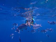 mhnguyenNature Guide Double Rainbow lC`[KCh@_uC{[ւ̓eʐ^9