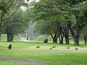 [񂳂̐˔VwՂ̓eʐ^1