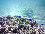 ܂񂳂̑xlC݂̓eʐ^1