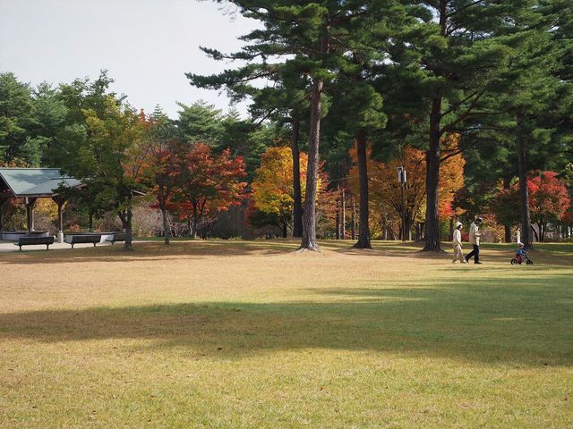 ���ړI�L��@�q�����ꂪ�V�Ԍ���
_�M�B��ō��� ��Ō���