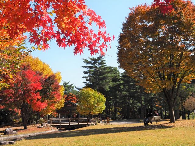 ��ō����@�g�t�������ړI�L��@_�M�B��ō��� ��Ō���