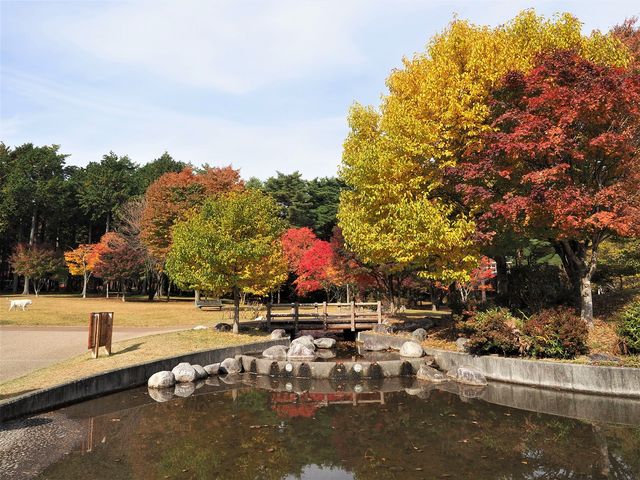 ��ō����@�g�t�������ړI�L��_�M�B��ō��� ��Ō���