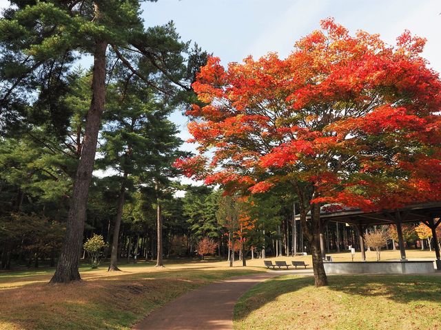 �g�t�������ړI�L��_�M�B��ō��� ��Ō���