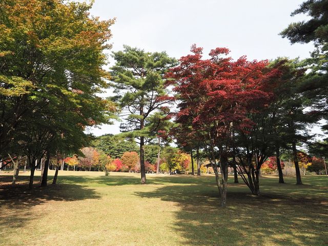 �g�t�������ړI�L��_�M�B��ō��� ��Ō���