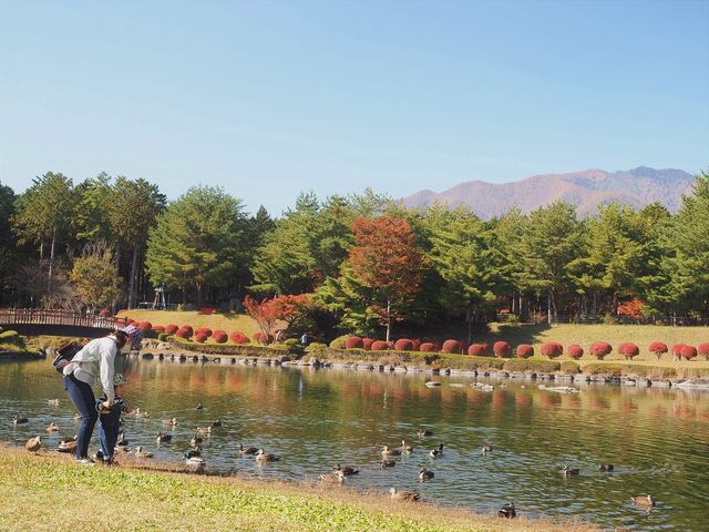 ��Ō����@�J�����j����Ō�_�M�B��ō��� ��Ō���