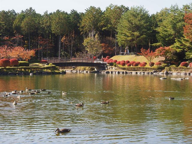 �J�����j����Ō�_�M�B��ō��� ��Ō���